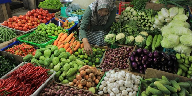 Penurunan Harga Komoditas di Padang Panjang Diharapkan Tingkatkan Daya Beli