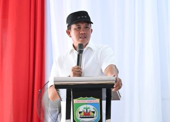 Morowali Akan Uji Coba Listrik 24 Jam di Dua Kecamatan