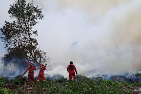 Bengkalis Segera Tetapkan Status Siaga Darurat Karhutla 2026