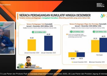 BPS: Surplus Neraca Perdagangan Indonesia 2025 Mencapai US$41,05 Miliar