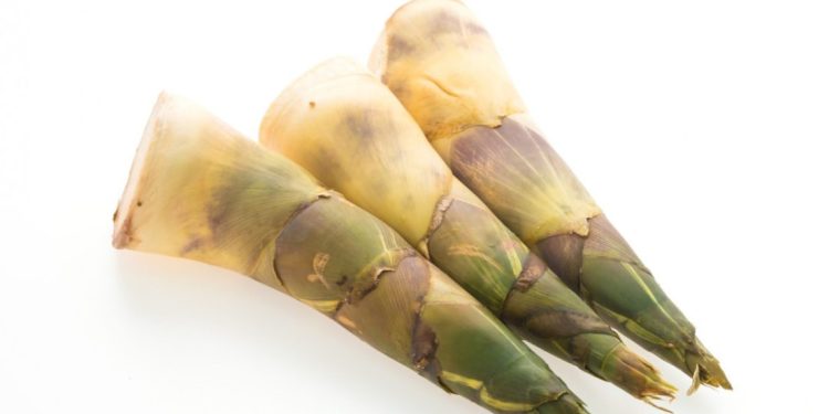 Rebung, Alternatif Pangan Fungsional untuk Kesehatan