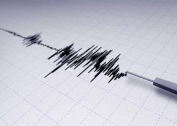 Gempa Magnitudo 3,7 Guncang Wilayah Kaimana, Papua Barat