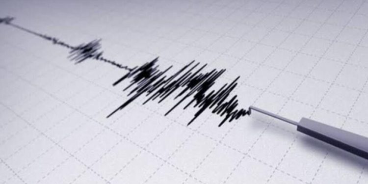 Gempa Magnitudo 3,7 Guncang Wilayah Kaimana, Papua Barat
