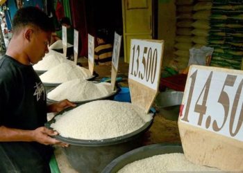 Pemerintah Jamin Ketersediaan Beras Nasional Aman, Serapan CBP Meningkat di Awal 2026