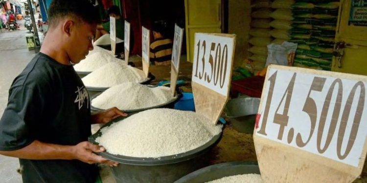 Pemerintah Jamin Ketersediaan Beras Nasional Aman, Serapan CBP Meningkat di Awal 2026