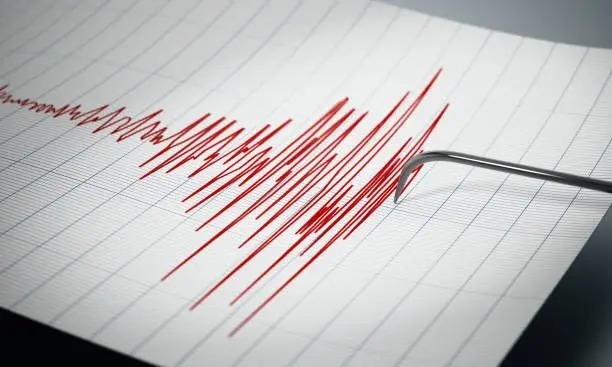 Gempa Magnitudo 4.2 Mengguncang Tuapejat, Sumatera Barat
