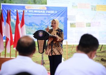 Gorontalo Mulai Pengembangan Industri Ayam Terintegrasi untuk Swasembada Pangan