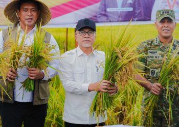 Menko Pangan Resmikan Program Penyerapan Gabah di Maros