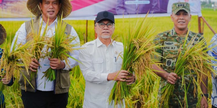 Menko Pangan Resmikan Program Penyerapan Gabah di Maros