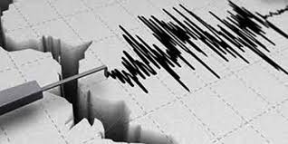Gempa Magnitudo 3,2 Guncang Wilayah Daruba, Maluku Utara