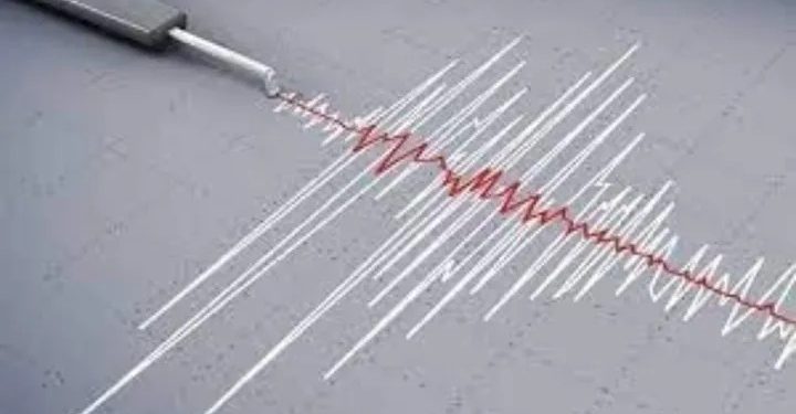 Gempa Magnitudo 3,9 Guncang Wilayah Sarmi, Papua
