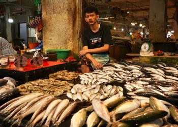 Penurunan Harga Tujuh Komoditas Pangan di Padang Panjang Berkat Stabilitas Pasokan