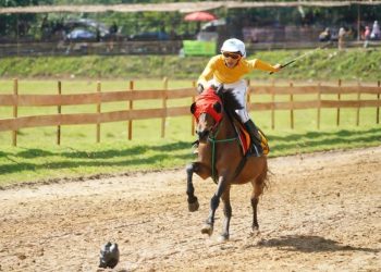 Pemkab Tanah Datar Gelar Kembali Pacu Kuda untuk Dorong Budaya dan Ekonomi