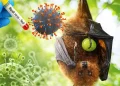 Dokter RSA UGM Jelaskan Gejala Awal Infeksi Virus Nipah
