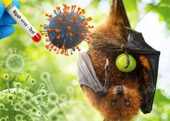 Dokter RSA UGM Jelaskan Gejala Awal Infeksi Virus Nipah