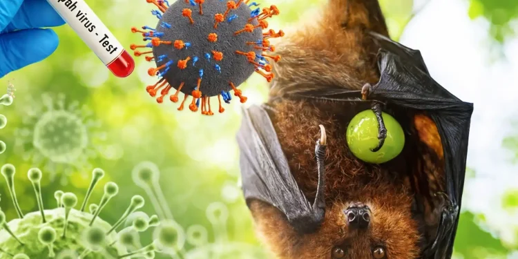 Dokter RSA UGM Jelaskan Gejala Awal Infeksi Virus Nipah