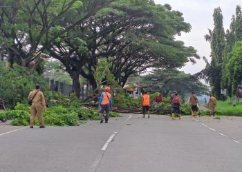 Camat Subah Pimpin Pemangkasan Pohon di Jalur Pantura untuk Antisipasi Cuaca Ekstrem