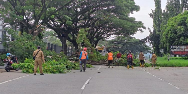 Camat Subah Pimpin Pemangkasan Pohon di Jalur Pantura untuk Antisipasi Cuaca Ekstrem