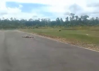 Seluruh Penumpang Pesawat Smart Air Selamat dari Insiden Penembakan di Papua