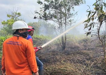 Penanganan Karhutla di Kalimantan Barat Melibatkan Berbagai Pihak