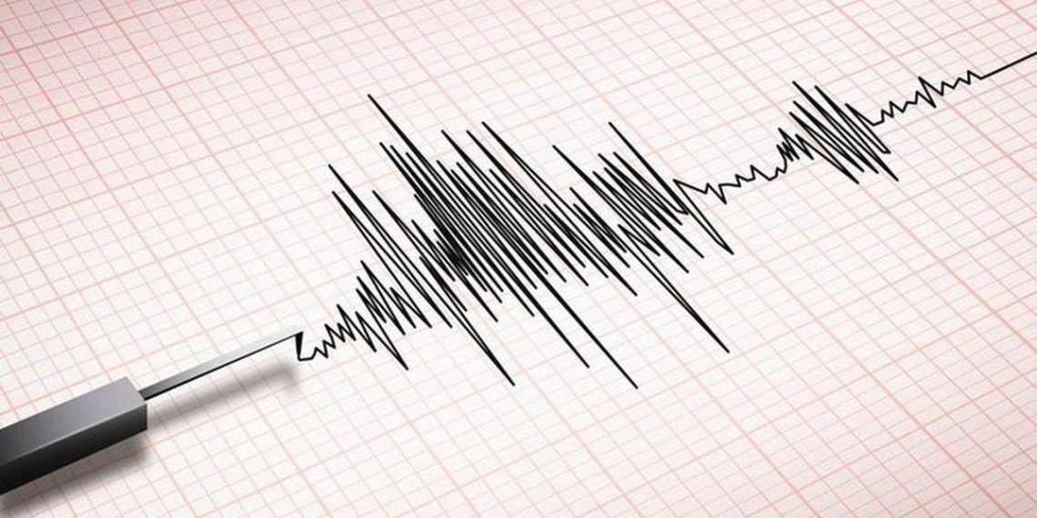 Gempa Magnitudo 4.0 Mengguncang Keerom, Papua