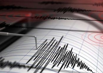 Gempa Magnitudo 3.3 Mengguncang Sarmi, Papua