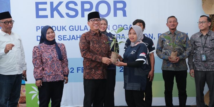 Gula Aren Pacitan Ekspor ke Tiga Negara, Produk Desa Siap Bersaing di Pasar Global