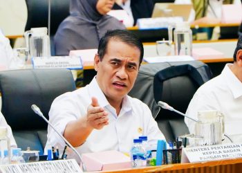 Pemerintah Tingkatkan Serapan Beras Nasional Hingga 700 Persen