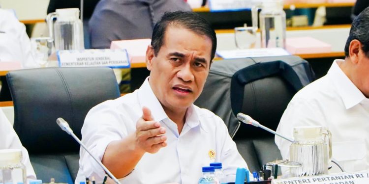 Pemerintah Tingkatkan Serapan Beras Nasional Hingga 700 Persen