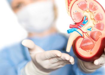 Air Rebusan Herbal yang Bermanfaat untuk Kesehatan Ginjal