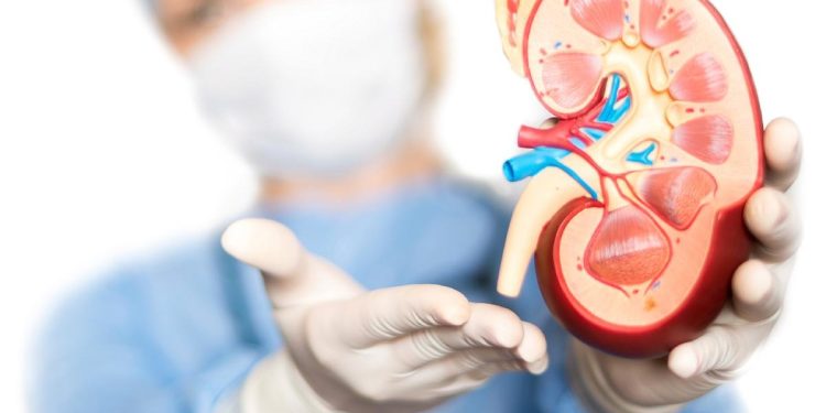 Air Rebusan Herbal yang Bermanfaat untuk Kesehatan Ginjal