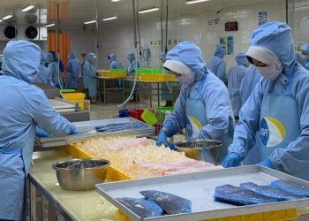 KKP Pastikan Kualitas Ikan Terjaga Selama Ramadan