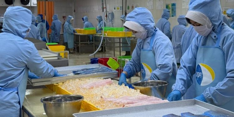 KKP Pastikan Kualitas Ikan Terjaga Selama Ramadan