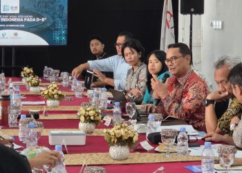 Indonesia Dorong Kerja Sama Pembayaran Digital dan Ketahanan Bencana di D-8