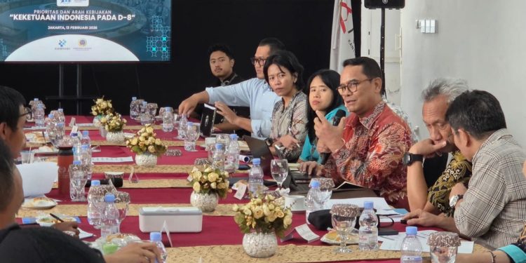 Indonesia Dorong Kerja Sama Pembayaran Digital dan Ketahanan Bencana di D-8