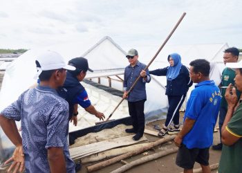 DKP Gorontalo Tingkatkan Produksi Garam untuk Ketahanan Pangan