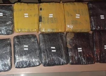 Polda Metro Jaya Berhasil Menggagalkan Peredaran Ganja Sebanyak 15,507 Kg