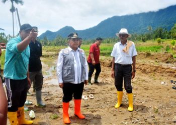 Bupati Agam Tinjau Langsung Lokasi Banjir dan Longsor, Anjurkan Relokasi