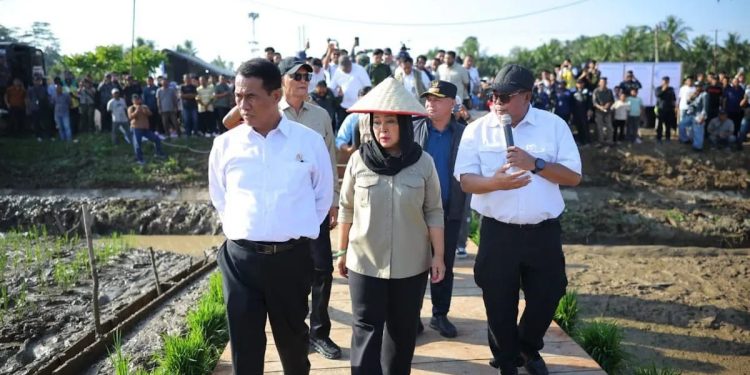 Pemerintah Siapkan Rp336 Miliar untuk Rehabilitasi Sawah Terdampak Banjir di Aceh dan Sumatera