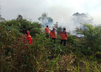 BPBD Riau Intensifkan Pemadaman Karhutla di Tiga Wilayah