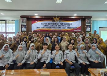 Inovasi Digital Permudah Pengusulan Satyalancana Karya Satya di Balangan