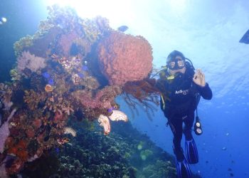 DKP Gorontalo Lakukan Pemantauan Terumbu Karang di Olele