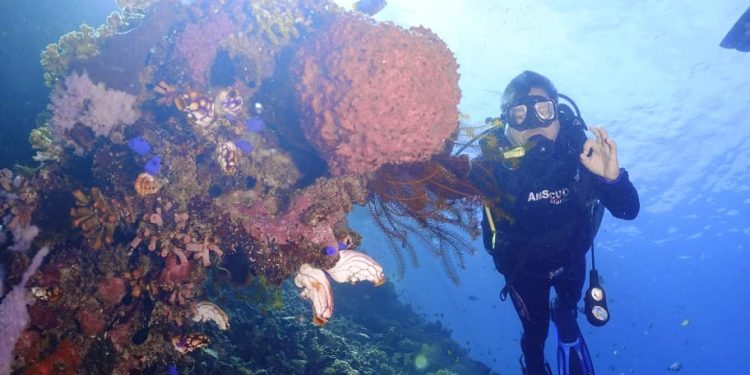 DKP Gorontalo Lakukan Pemantauan Terumbu Karang di Olele