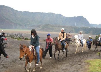 Polres Probolinggo Bentuk Tim Khusus Selidiki Kasus Pencurian Koper Wisatawan Thailand