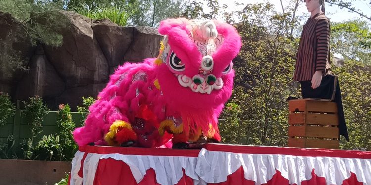 Safari Beach Jateng Meriahkan Imlek dengan Barongsai dan Singa Putih