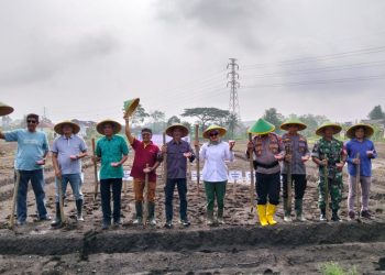 Kalurahan Sukoharjo Tingkatkan Produksi Jagung untuk Swasembada Pangan