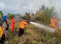 Kemenhut Siaga Hadapi Kebakaran Hutan Selama Ramadan
