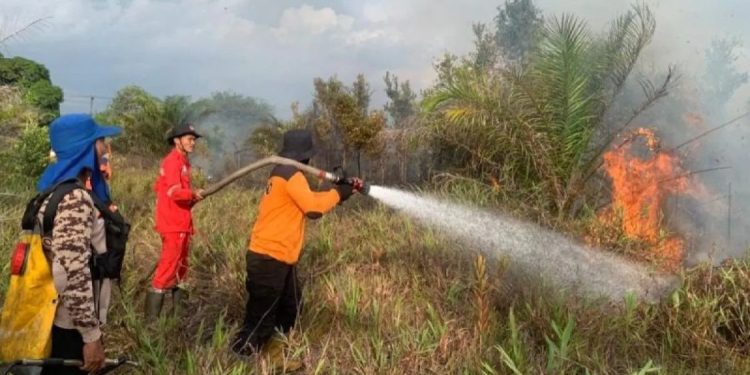 Kemenhut Siaga Hadapi Kebakaran Hutan Selama Ramadan