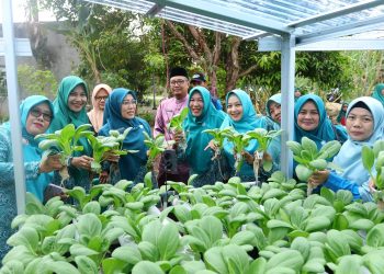 Ketua TP PKK Siak Puji Panen Perdana KWT Benteng Lestari di Mempura