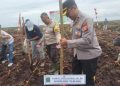 Polsek Tualang Tanam Jagung di Lahan 5 Hektare untuk Dukung Ketahanan Pangan